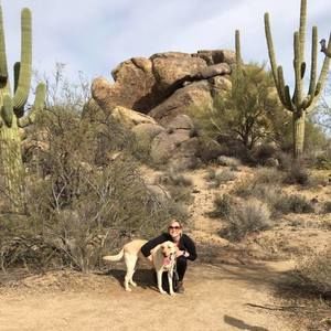 Meet your Posher, Alex